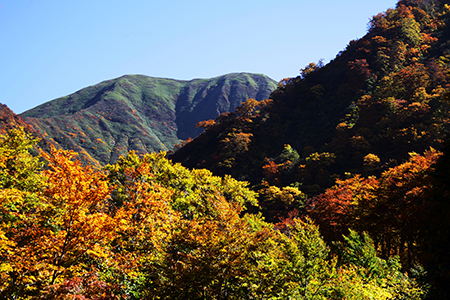 湯殿山